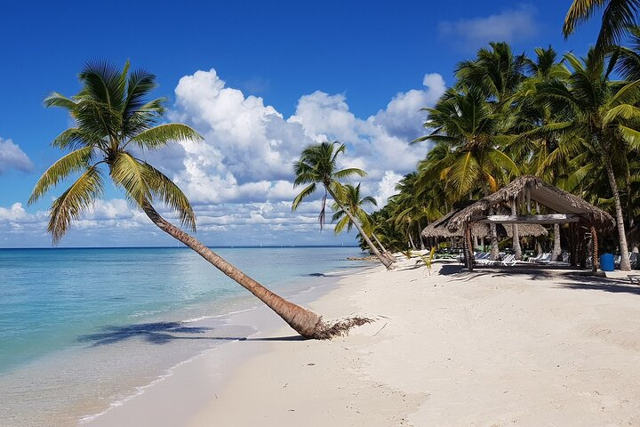 Saona Island Package with Roundtrip Transportation from Airport and Hotels - Photo 1 of 9